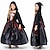 abordables Brujas Malvadas-Bruja Calavera Fantasma Víspera de Todos los Santos Capa Traje de cosplay capa con capucha Noche de Walpurgis Disfraz de miedo Niños Chica Carnaval Mascarada Rendimiento Víspera de Todos los Santos