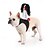 billiga Halloween husdjurskostym-Hund Katt Halloweendräkter Hundkostym Spöke Läskig kostym Riddarstil Mjuk Halloween Karnival Fest  Kläder för hundvalp