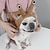 cheap Halloween Pet Costume-Dog Halloween Costumes Dog Costume Snails Cute Funny Soft Halloween Carnival Party  Dog Puppy Clothes Outfits