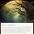 preiswerte Waldteppich-Fensteransicht Wald hängende Wandteppich Wandkunst große Wandteppich Wanddekor Fotografie Hintergrund Decke Vorhang Zuhause Schlafzimmer Wohnzimmer Dekoration Wandtuch XXL Natur