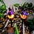 tanie Oświetlenie rekwizytów na Halloween-1pc słoneczna dynia oświetlona widmo światło trawnika halloween zewnętrzne światła ogrodowe wodoodporny ogród park chodnik dekoracja krajobrazowa żywica dynia światło na zewnątrz halloween rozświetlają dekoracje