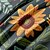 billige Dynetrekk sett-botanisk floral dynetrekk sett - inkluderer dynetrekk og putevar - elegant naturinspirert design - mykt og behagelig stoff - perfekt for soveromsinnredning