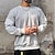 abordables Sweat-shirts basiques-Homme Sweat-shirt Noir Marron Kaki Gris Col ras du cou Uni Sport &amp; Loisir Quotidien Fête Coton Streetwear Basique Occasionnel Printemps &amp; Automne Vêtement Tenue Pulls Capuche Pulls molletonnés manche