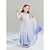 cheap Girls&#039; Costumes-Frozen Fairy Tale Princess Elsa Outfits Flower Girl Dress Theme Party Costume Girls&#039; Movie Cosplay Cosplay Carnival Children&#039;s Day Party / Evening