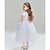 voordelige Meisjeskostuums-Sprookje Prinses Assepoester Thema feestkostuum Tule jurken Accessoires ingesteld Film cosplay for Voor meisjes Kinderen Carnaval Kinderdag Feest / Uitgaan