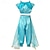 abordables Disfraces de niñas-Aladdin Cuento de hadas Princesas Jazmín Accesorios Disfraz de fiesta temática Cosplay Cosplay de película for Chica Niños Carnaval Fiesta / Noche
