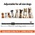baratos Adestramento &amp; Treino de Comportamento para Cães-coleira de treinamento para cães sem choque com alcance remoto de 3.300 pés e 9 tons  &amp; Coleira de cachorro para treinamento de animais de estimação com forte vibração à prova d'água  &amp; recarregável