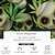 halpa Halloween-paidat-Pääkallot Havaijilainen Vapaa-aika Miesten Button Up paita Lyhythihainen Juhlat / Ilta Päivittäin Loma Kesä Kauluspaidat Painike ylös 3D-tulostus Ohut Apila Polyesteri