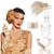 baratos Acessórios e mais-Anos 20 O Grande Gatsby Roupa Faixa De Cabelo Estilo Melindrosa O Grande Gatsby Convidado do casamento Sem Colarinho Fantasia Mulheres Dia Das Bruxas Carnaval Baile de Máscaras Festa Mascarilha