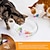 economico Giocattoli per cani-Giocattolo interattivo con Adatto agli animali Esercizio per animali domestici per Prodotti per gatti Al Coperto All&#039;aperto Giocattoli per animali