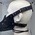 preiswerte Masken-Pestdoktor Halloween Maske / Halloween Requisiten Halloween Karnevalsmaske Horror Erwachsene Herren / Damen / Unisex Halloween / Karneval Einfache Halloween-Kostüme Verkleiden