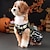 cheap Halloween Pet Costume-Dog Halloween Costumes Dog Costume Pumpkin Cute Soft Halloween Carnival Party  Dog Puppy Clothes Outfits