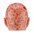 voordelige Maskers-Freddy Krueger Masker Hallloween figuren Halloween Verschrikking Eng kostuum Volwassenen Voor heren Halloween Carnaval Gemakkelijke Halloween-kostuums Aankleden