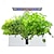 billige Køkkenapparater-smart hydroponics dyrkningssystem indendørs urtehave sæt 9 bælg automatisk timing med højdejusterbar 15w led vækstlys 2l vandtank smart vandpumpe til hjemmet