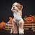 abordables Disfraz de Halloween para mascota-Perros Disfraces de Halloween Disfraz para perro Calabaza Estilo lindo Suave Víspera de Todos los Santos Carnaval Fiesta  Ropa Para Cachorros De Perros