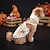 abordables Disfraz de Halloween para mascota-Perros Disfraces de Halloween Disfraz para perro Calabaza Estilo lindo Suave Víspera de Todos los Santos Carnaval Fiesta  Ropa Para Cachorros De Perros