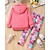 cheap Sets-Girls&#039; 3D Cartoon Cat Sports Suit Hoodie Set Tracksuits Long Sleeve Spring Fall Daily Casual Comfort Kids 4 years+ Hooded Outdoor Vacation Sports Tailored Fit