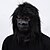 preiswerte Masken-King Kong Halloween Maske / Vollkopf Planet der Affen: Königreich Karnevalsmaske Gruseliges Kostüm Erwachsene Herren / Damen Halloween / Karneval Leistung Party Einfache Halloween-Kostüme Verkleiden