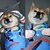 billiga Halloween husdjurskostym-Hund Katt Halloweendräkter Dräkter / Kostymer Chucky Läskig kostym Cosplay Halloween Utomhus Halloween  Kläder för hundvalp