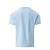 abordables Calle-Hombre Camisa Camisa de lino Camisa de verano Ropa de playa Camisa con cuello mao Abotonar la camisa Plano Vacaciones Casual Negro Blanco Amarillo Azul Piscina Manga Corta Cuello Verano Ropa