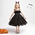 cheap Wicked Witches-Witch Pumpkin Halloween Dress Costume Walpurgis Night Dress Up Kid&#039;s Women&#039;s Carnival Party / Evening Easy Halloween Costumes Dress Up