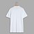 お買い得  ベーシックTシャツ-男性用 Tシャツ ティートップ 半袖 Ｖネック 夏 平織り スポーツ ファッション ライトウェイト Ｖネック バケーション カジュアル 祝日 ダークグレー ブラック ホワイト メンズトップTシャツ