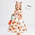 cheap Wicked Witches-Witch Pumpkin Halloween Dress Costume Walpurgis Night Dress Up Kid&#039;s Women&#039;s Carnival Party / Evening Easy Halloween Costumes Dress Up