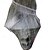 billige Halloween-dekorasjoner-halloween hengende ornament - 6 fot skumskjelett i edderkoppnett - halloween dekorasjoner utendørs hagefestdør hjemsøkt hus