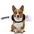 billiga Kostymer-Hund Halloweendräkter Dräkter / Kostymer Halloween outfit Läskig kostym Mjuk Halloween Karnival Fest Hundkläder for Small Medium