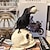 cheap Halloween Hanging &amp; Tabletop Decorations-Halloween Skeleton Crow Resin Figurine - Animal Sculpture for Tabletop, Window Display, and Home Decor - Spooky Halloween Decoration