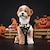 abordables Disfraz de Halloween para mascota-Perros Disfraces de Halloween Disfraz para perro Calabaza Estilo lindo Suave Víspera de Todos los Santos Carnaval Fiesta  Ropa Para Cachorros De Perros