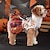 cheap Halloween Pet Costume-Dog Halloween Costumes Dog Costume Pumpkin Cute Soft Halloween Carnival Party  Dog Puppy Clothes Outfits