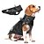 voordelige Jassen-Honden Jassen Jack Donzen jacks Modieus Winter Reflecterend waterdicht Warm Comfortabel Buiten Dagelijks gebruik Huiskleding Hondenkleding for Small Gemiddeld