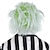 cheap Movie Character Wigs-Beetlejuice Wig Costume Accessory for Adults - Costume Includes Wacky Wig with Green &amp;amp Gray Hair Color - Costumes for Carnival, Birthday Parties, &amp;amp Themed Events