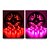 Χαμηλού Κόστους Έξυπνες Λωρίδες Φωτός-20m 65ft rgb strip lights tuya wifi smart 5050 bluetooth φωνητικός έλεγχος μουσικής 40 πλήκτρα τηλεχειριστήριο ελέγχου εφαρμογής alexa διακόσμηση κρεβατοκάμαρας σαλονιού 5m/10m/15m/20m