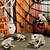 levne Halloween dekorace-strašidelná kostra žába - ideální pro halloweenskou výzdobu  &amp; party rekvizity, odolný plast, není potřeba napájení