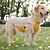 economico Cappotti-Cane Cappotto Giacca Moda Inverno Riflettente Regolabile Impermeabile Caldo Di tendenza All&#039;aperto Abbigliamento Quotidiano Abbigliamento da Casa Abbigliamento per Cani for Medio Grande