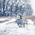 preiswerte Pullover-Hund Pullover Jumper Mode Winter Warm Mode Bequem Outdoor Alltagskleidung Hausbekleidung Hundebekleidung for Klein Mittelgroß