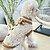 abordables Ropa para perro-Perros Suéteres Saltador Moda Invierno Templado Moda Cómodo Exterior Uso Diario Ropa de casa Ropa para perros for Small Medio