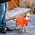 preiswerte Pullover-Hund Pullover Jumper Mode Winter Warm Mode Bequem Outdoor Alltagskleidung Hausbekleidung Hundebekleidung for Klein Mittelgroß