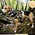 رخيصةأون أطواق، أحزمة وقيود-كلاب أربطة عاكس لا اختناق لا سحب مع مقبض التحكم الأماكن المفتوحة كلب متوسط كلب كبير