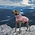 voordelige Jassen-Honden Jassen Jack Pufferjack Reflecterend Verstelbaar waterdicht Winddicht Warm Buiten Hondenkleding for Windhond Gemiddeld Grote