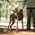 baratos Casacos-Cachorros Casacos Jaqueta Colete de lã Reflector Prova-de-Água Quente Ao ar livre Roupas para cães for Galgo Médio Grande