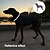 voordelige Jassen-Honden Jassen Jack Pufferjack Reflecterend Verstelbaar waterdicht Winddicht Warm Buiten Hondenkleding for Windhond Gemiddeld Grote