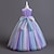 preiswerte Kleider für die Blumenmädchen-Blumenmädchenkleid Kinder Mädchen Prinzessinenkleid Leistung Hochzeit Party Elegant Schön Pailletten Gitter Regenbogen Ärmellos Rundhalsausschnitt Rosa Blau 4 Jahre +
