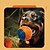 abordables Jouets pour chats-Balle Jouets de mastication Lanceurs de Balle Jouet interactif Jouet de grincement avec Durable Exercice pour animaux de compagnie Relâcher la pression Dressage d'animaux Jouet de corde de dentition