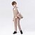 billige Guttens formelle drakt-5 deler Ringbærerdress Gutt Barn Dress Formell drakt Blazer &amp; vest &amp; bukser &amp; brosje &amp; slips Formell Fest Valentines Mote Kul Stripe Lomme Kakifarget Mørkegrå Polyester
