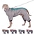 preiswerte Mäntel-Hund Mäntel Jacke mit Geschirr Winter Reflektierend Wasserdicht Warm Outdoor Innen Hausbekleidung Mittelgroß Groß