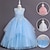 abordables Robes à Fleurs pour Filles-Robe de Demoiselle d&#039;Honneur Fille enfants Fille Robe de princesse Utilisation Mariage Soirée Elégant Magnifique Maille Couleur unie Sans Manches Col Ras du Cou Blanche Rose Claire 4 ans et +