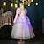 baratos Fantasias para meninas-Rainha da Neve Conto de Fadas Vestido da menina de flor Fantasia de festa temática vestidos de tule Vestir-se Led acende for Para Meninas Crianças Natal Carnaval Dia da Criança Espetáculo Festa de
